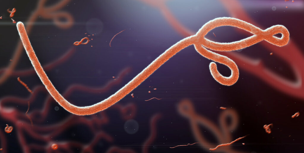 Ebola Európában – Megjelent a Bundibugyo vírus Franciaországban